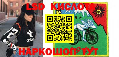 Альфа ПВП Можга