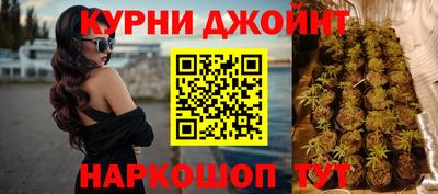 Альфа ПВП Можга